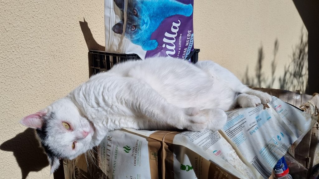 Rossana Folla - Suono Armonico e Animali - La Cinquy prima le coccole poi mangia